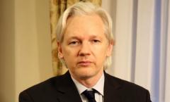 Julian Assange, Founder